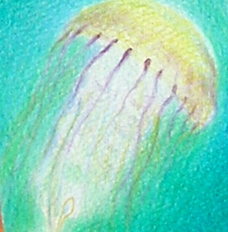 Медуза освящает